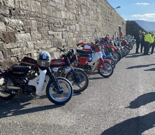 Honda 50 line-up